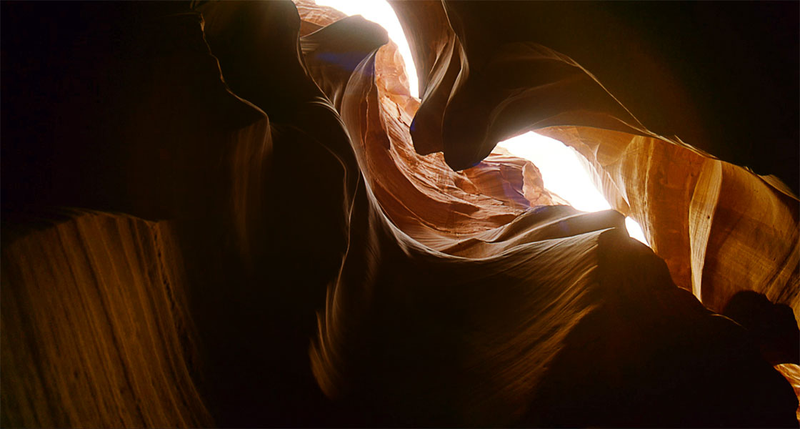 Illustration for article titled Gorgeous Tree of Life stills look like the greatest science epic of all time